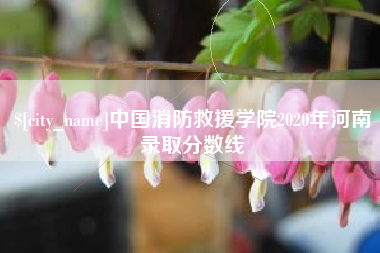 江西中国消防救援学院2020年河南录取分数线