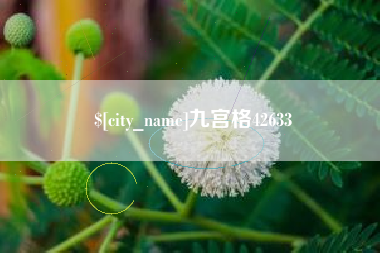 江西九宫格42633