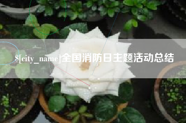 江西全国消防日主题活动总结
