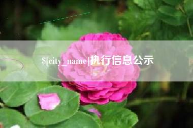 江西执行信息公示