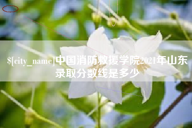 江西中国消防救援学院2021年山东录取分数线是多少