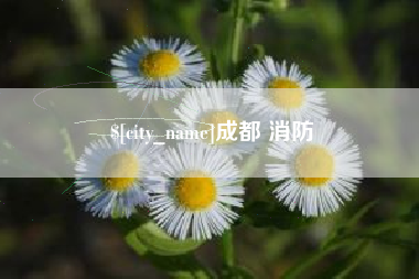 江西成都 消防