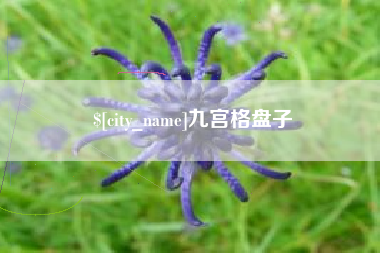 江西九宫格盘子
