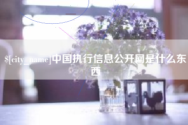 江西中国执行信息公开网是什么东西
