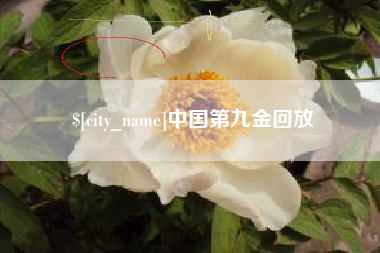 江西中国第九金回放