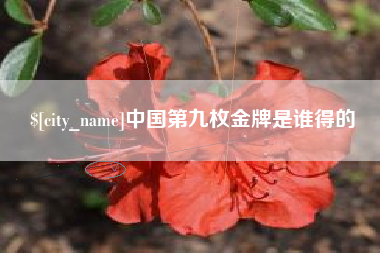 江西中国第九枚金牌是谁得的