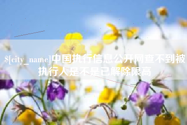 江西中国执行信息公开网查不到被执行人是不是已解除限高