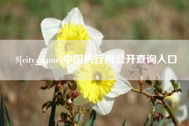 江西中国执行网公开查询入口