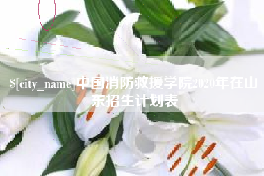 江西中国消防救援学院2020年在山东招生计划表