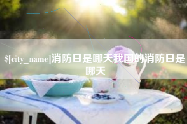 江西消防日是哪天我国的消防日是哪天