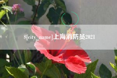 江西上海消防员2021