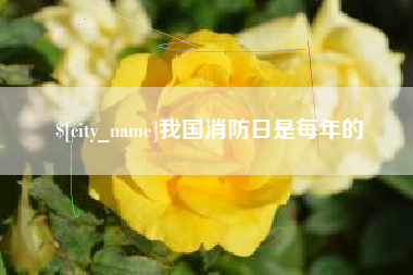 江西我国消防日是每年的