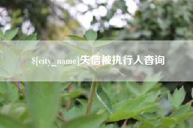 江西失信被执行人杳询