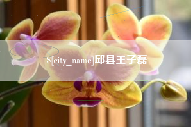 江西邱县王子磊