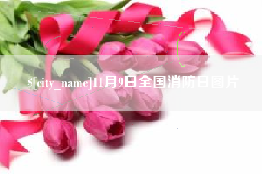 江西11月9日全国消防日图片