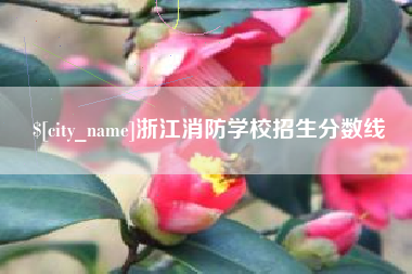 江西浙江消防学校招生分数线
