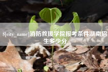 江西消防救援学院报考条件湖南招生多少分