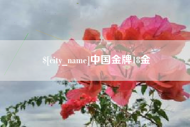 江西中国金牌18金