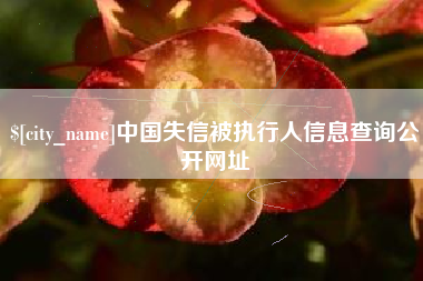 江西中国失信被执行人信息查询公开网址