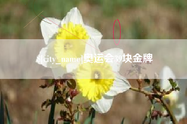 江西奥运会39块金牌
