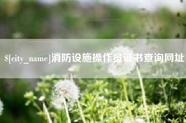 江西消防设施操作员证书查询网址