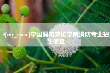 江西中国消防救援学院消防专业招生简章