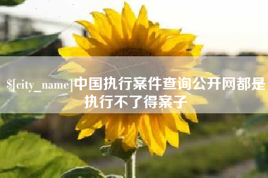 江西中国执行案件查询公开网都是执行不了得案子