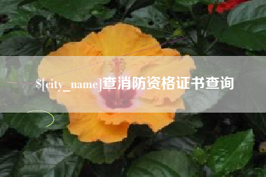 江西查消防资格证书查询