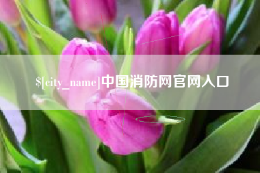 江西中国消防网官网入口
