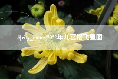 江西2022年九宫格飞星图