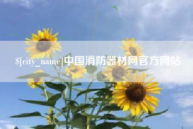 江西中国消防器材网官方网站