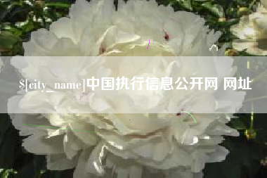 江西中国执行信息公开网 网址