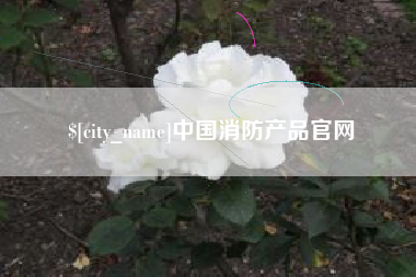 江西中国消防产品官网