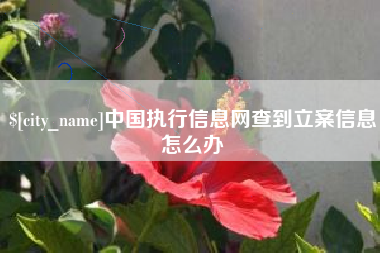 江西中国执行信息网查到立案信息怎么办