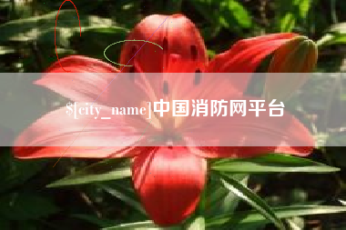 江西中国消防网平台