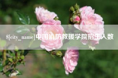 江西中国消防救援学院招生人数