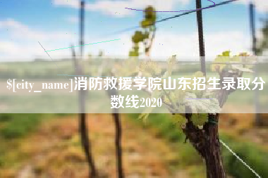 江西消防救援学院山东招生录取分数线2020