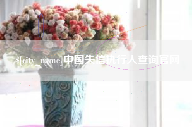 江西中国失信执行人查询官网