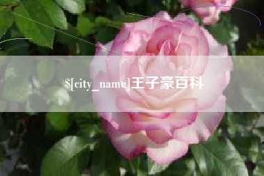 江西王子豪百科