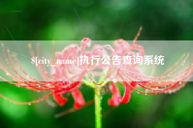 江西执行公告查询系统