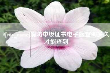 江西消防中级证书电子版查询多久才能查到