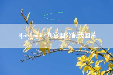 江西九宫图分割线图片