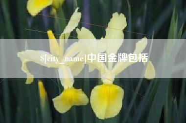 江西中国金牌包括