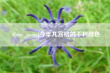 江西今年九宫格的不利颜色