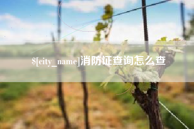 江西消防证查询怎么查