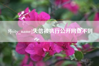 江西失信被执行公开网查不到