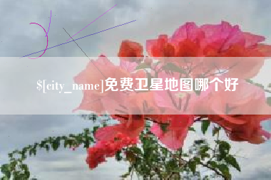 江西免费卫星地图哪个好