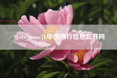 江西1.中国执行信息公开网