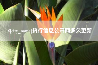 江西执行信息公开网多久更新
