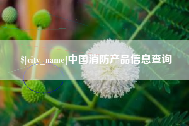 江西中国消防产品信息查询